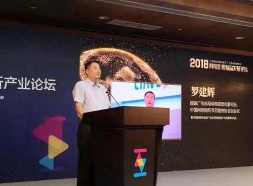 網絡影視精品化 鑄就視聽新紀元，引領影視制作新浪潮